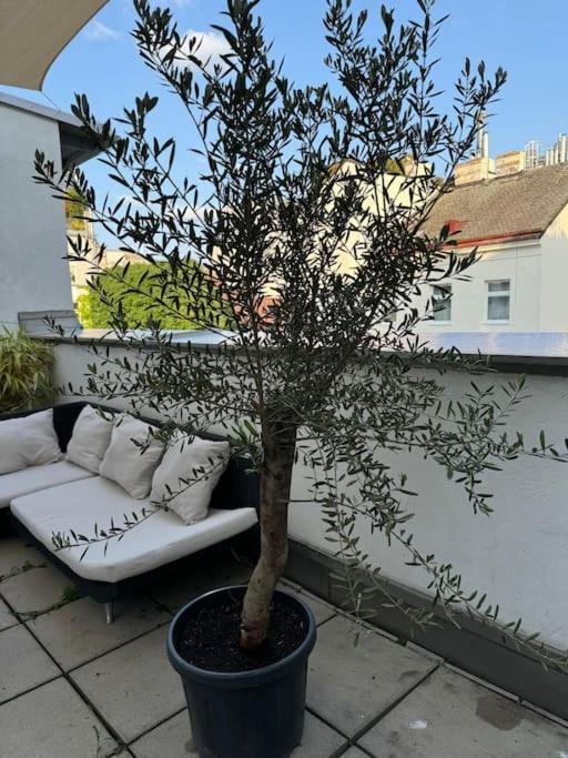 Terrassentraum Fuer 2 *
